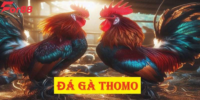 Da ga thomo 3 for88