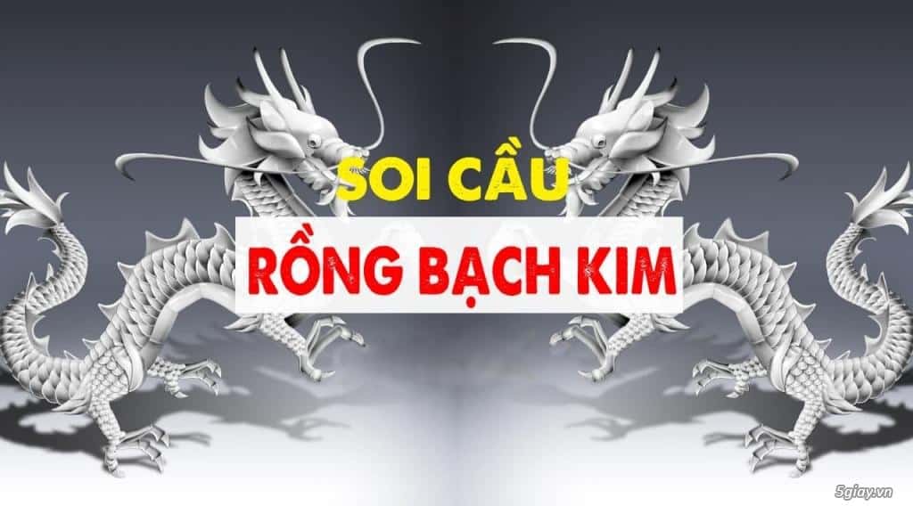 soi cầu rồng bạch kim for88